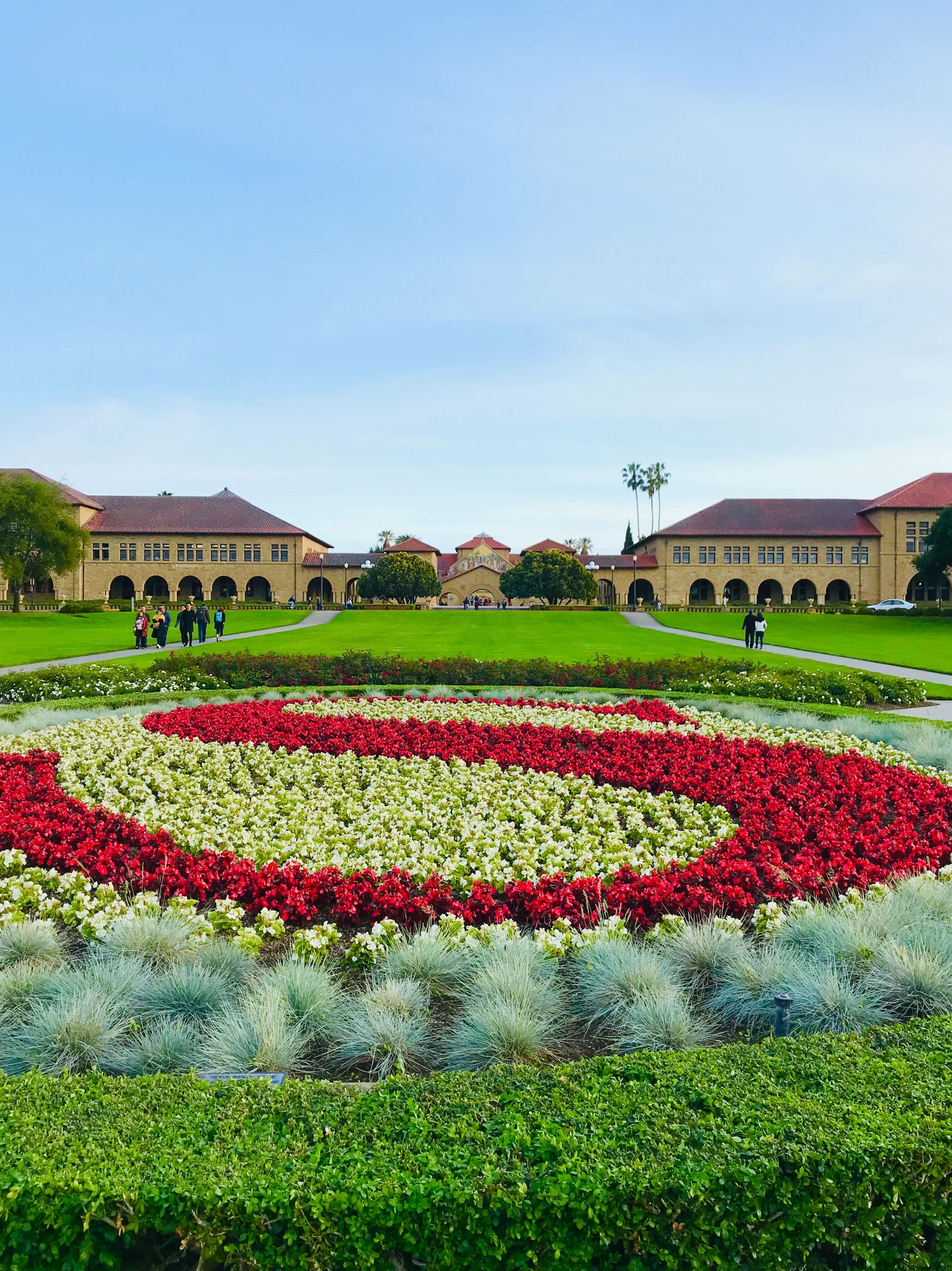 Stanford oval flowers in S logo